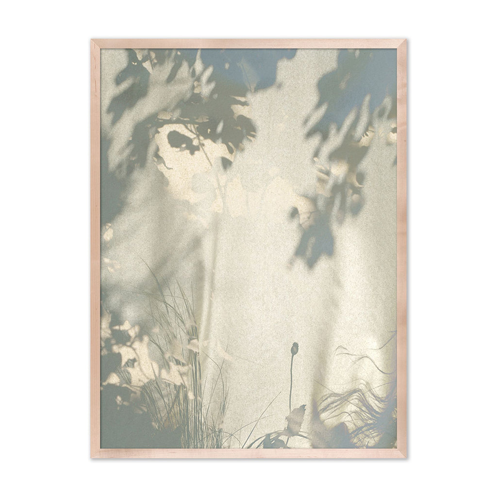 Botanical Shadows Wall Art by Fountain Grass Studios