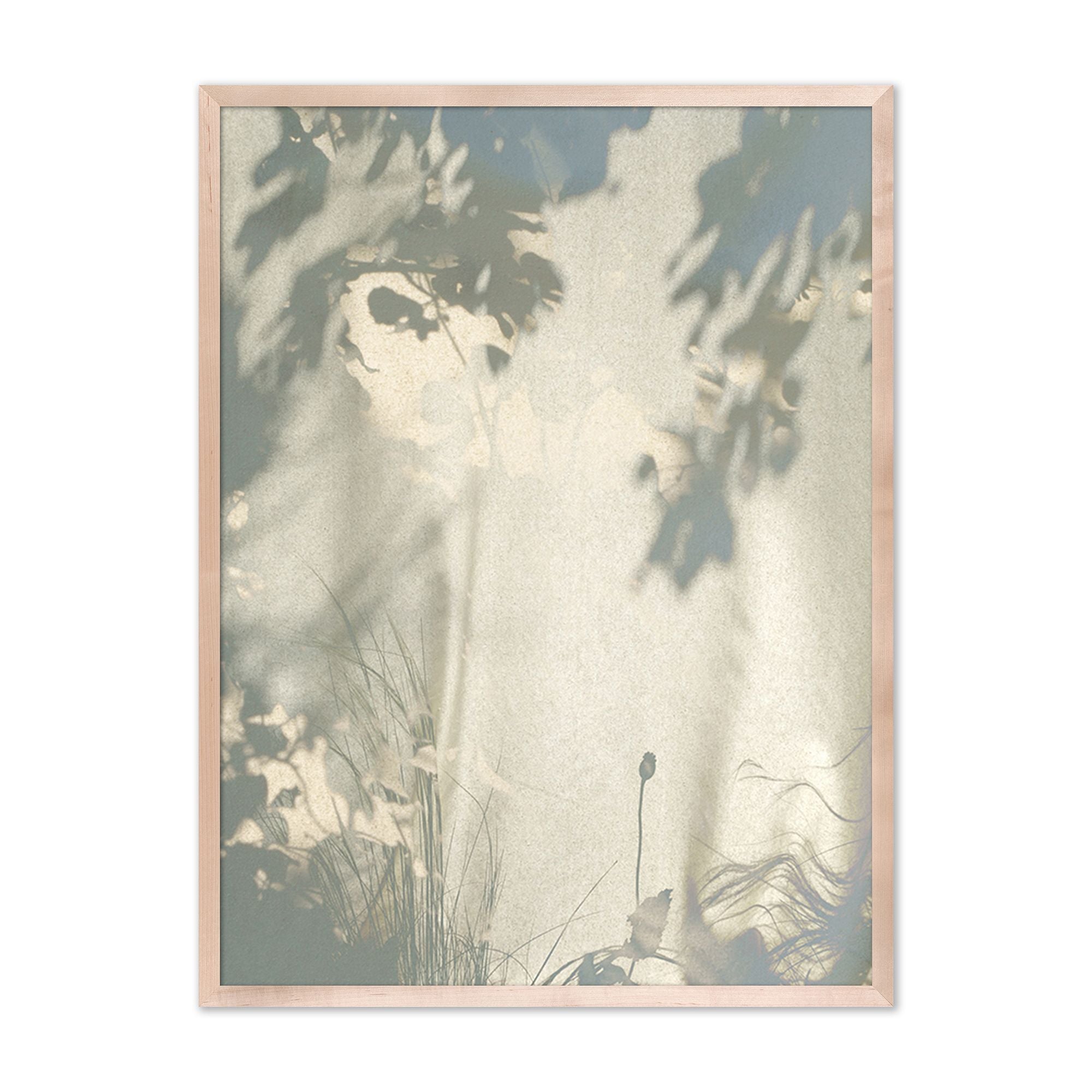 Botanical Shadows Wall Art by Fountain Grass Studios