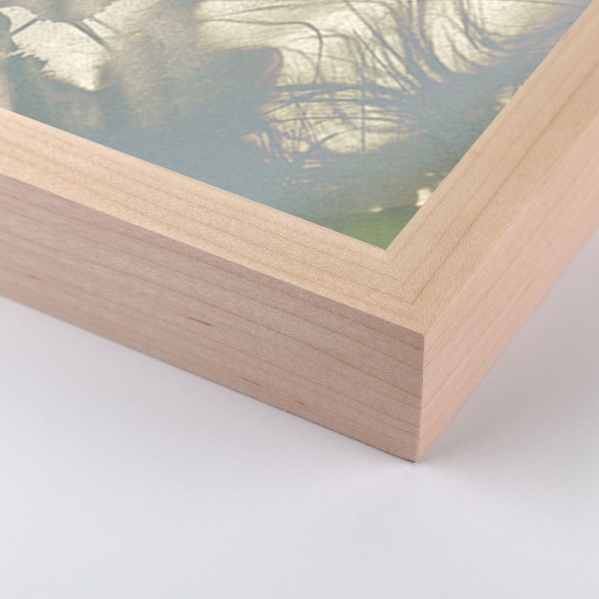 Botanical Shadows Wall Art by Fountain Grass Studios